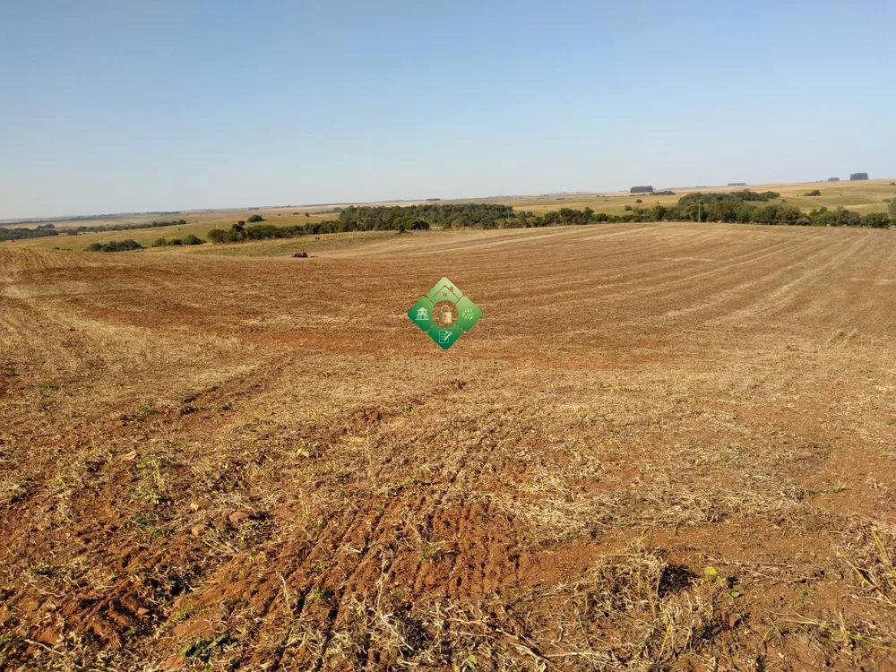 Fazenda, 338 hectares - Foto 4