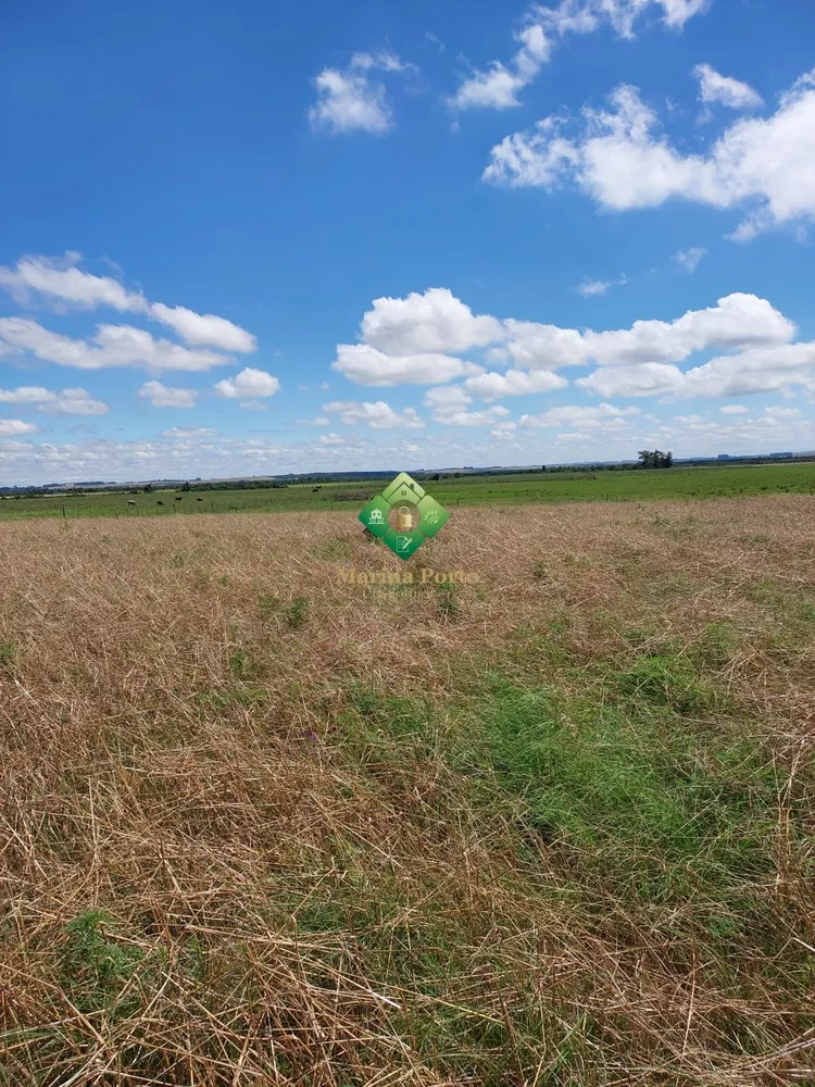 Fazenda, 57 hectares - Foto 3