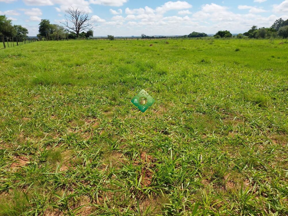 Fazenda, 57 hectares - Foto 2