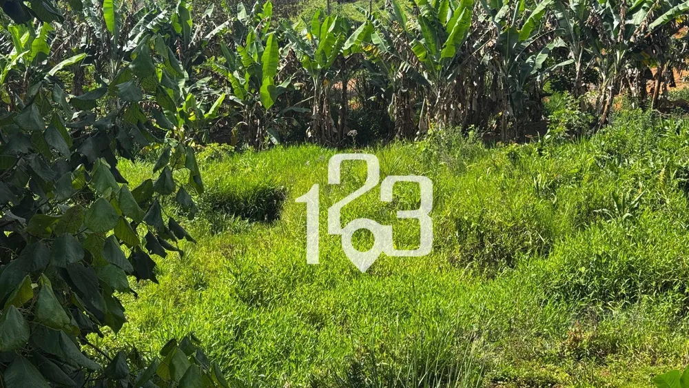 Chácara, 2 quartos, 2 hectares - Foto 15