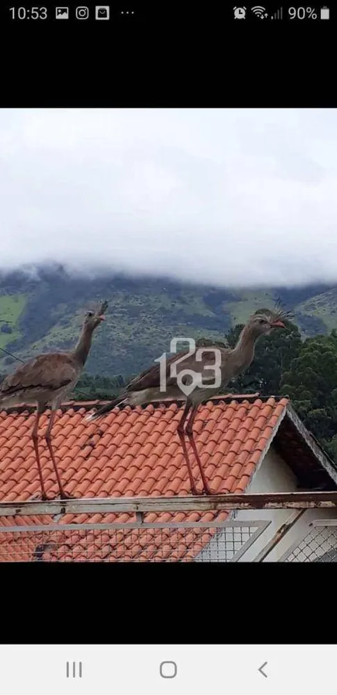 Chácara, 2 quartos, 1000 m² - Foto 4