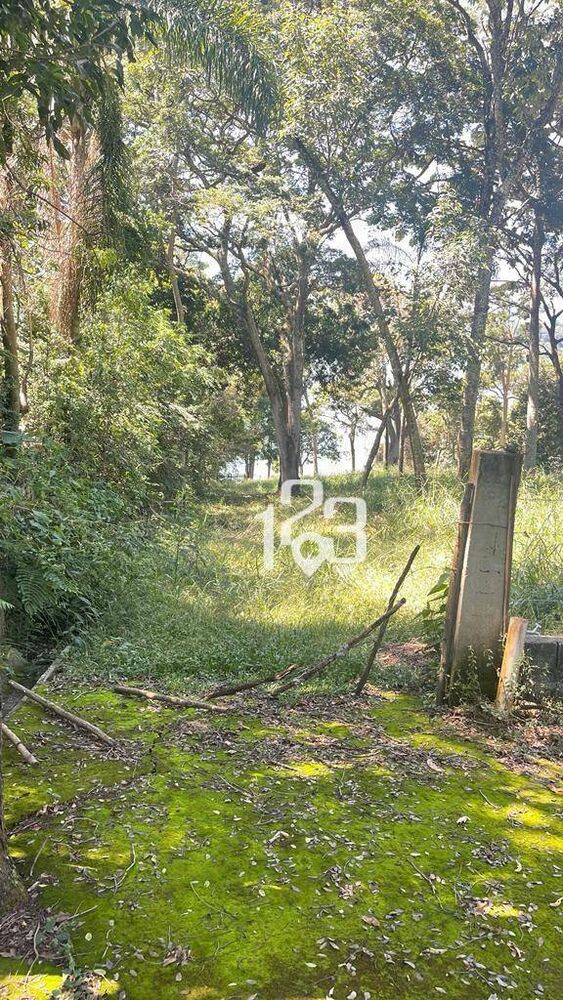 Chácara, 2 quartos, 3200 m² - Foto 4