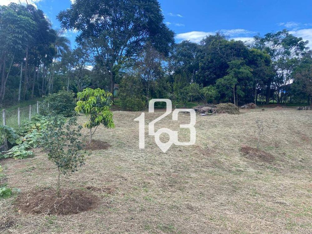 Chácara, 3 quartos, 6000 m² - Foto 4