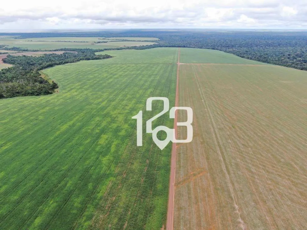 Fazenda, 3860 hectares - Foto 6