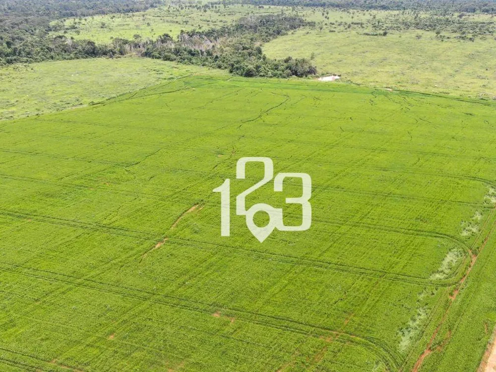 Fazenda, 3860 hectares - Foto 4