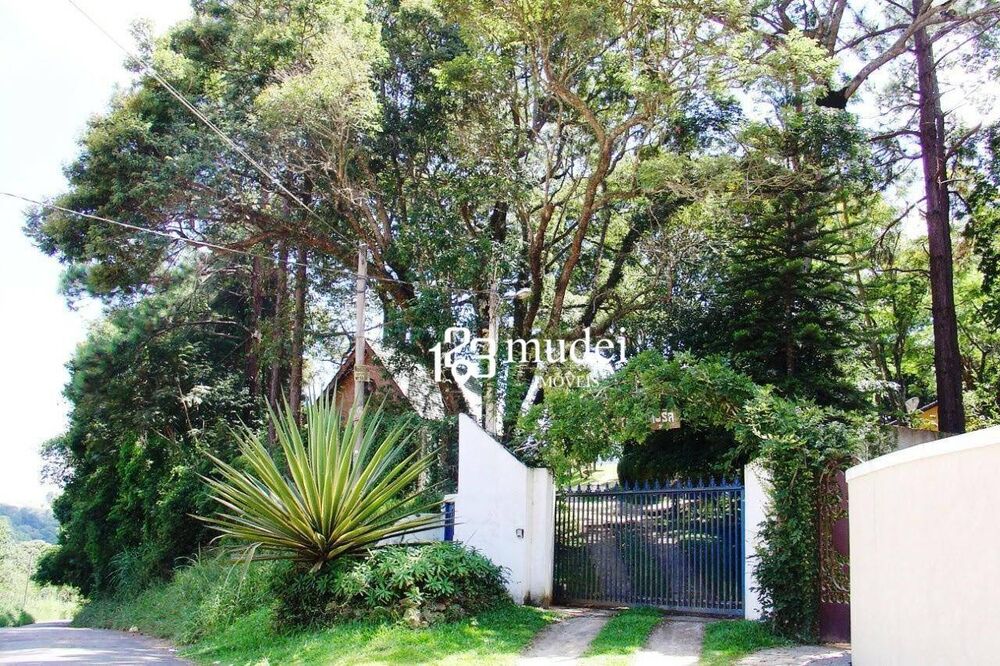 Chácara, 4 quartos, 4 hectares - Foto 17