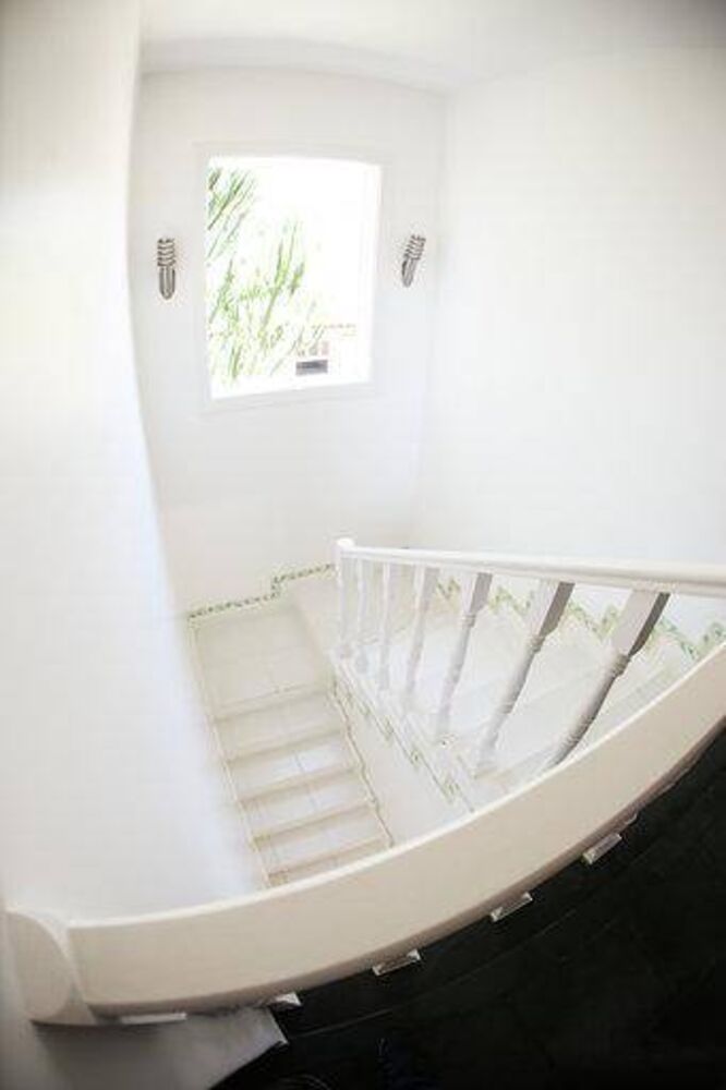 Chácara, 4 quartos, 3500 m² - Foto 4