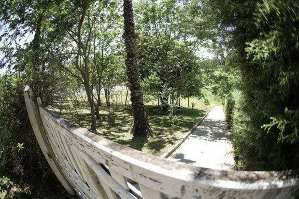Chácara, 4 quartos, 3500 m² - Foto 9