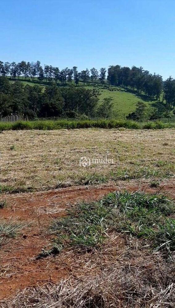 Loteamento e Condomínio, 1000 m² - Foto 6
