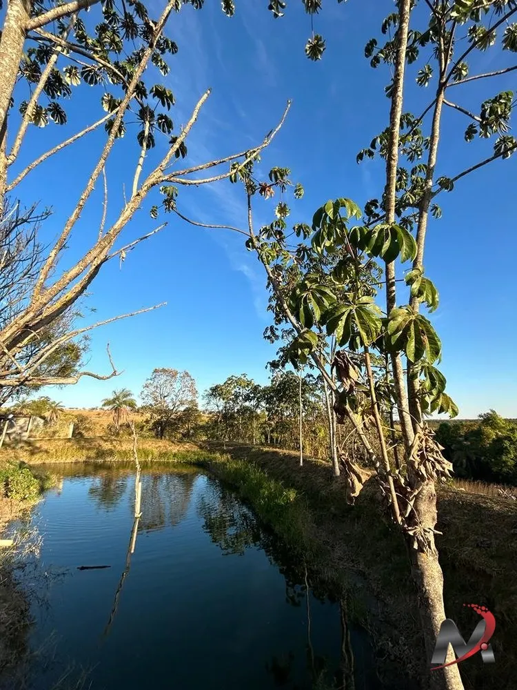 Chácara, 2 quartos, 2 hectares - Foto 15