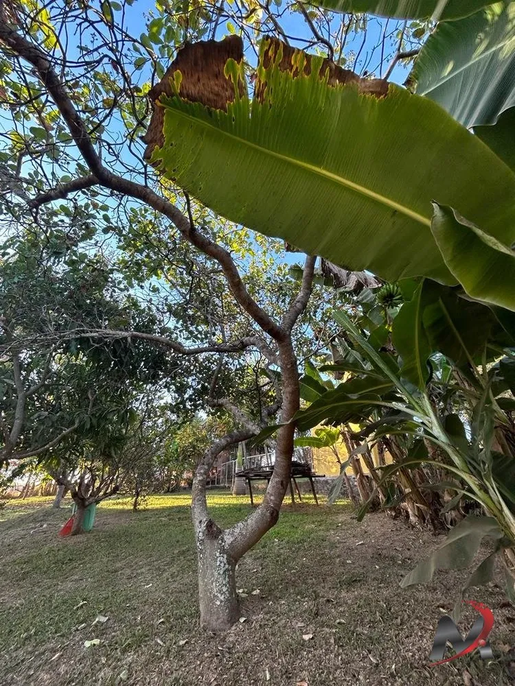 Chácara, 2 quartos, 2 hectares - Foto 16