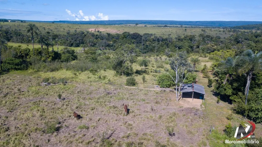 Chácara, 4 quartos, 2 hectares - Foto 2