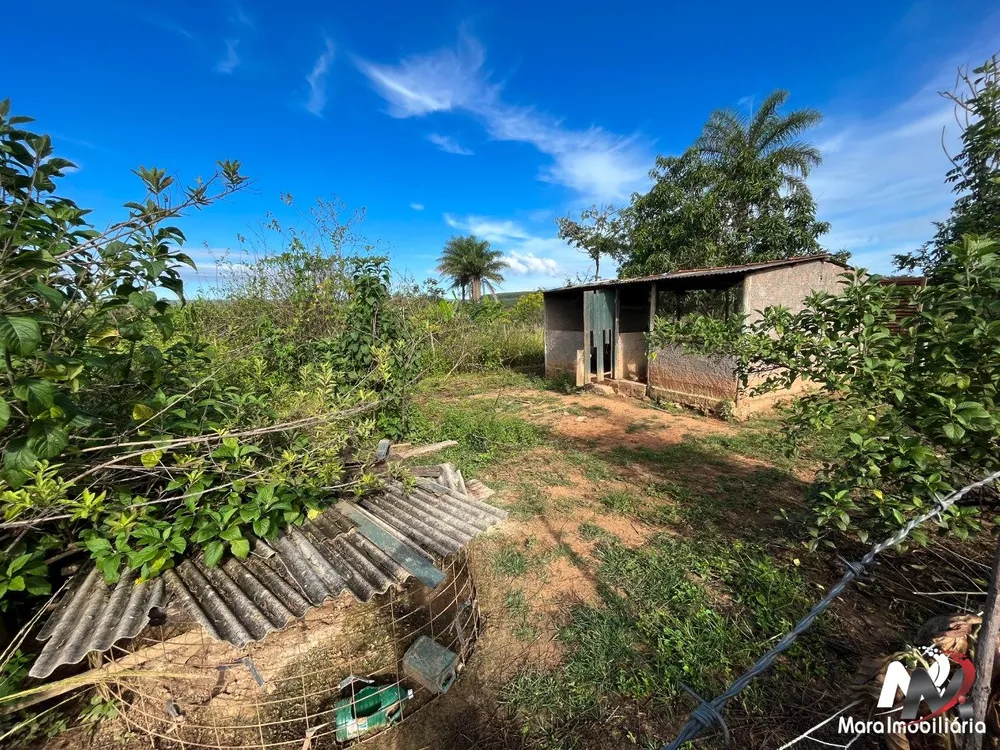 Chácara, 4 quartos, 2 hectares - Foto 3