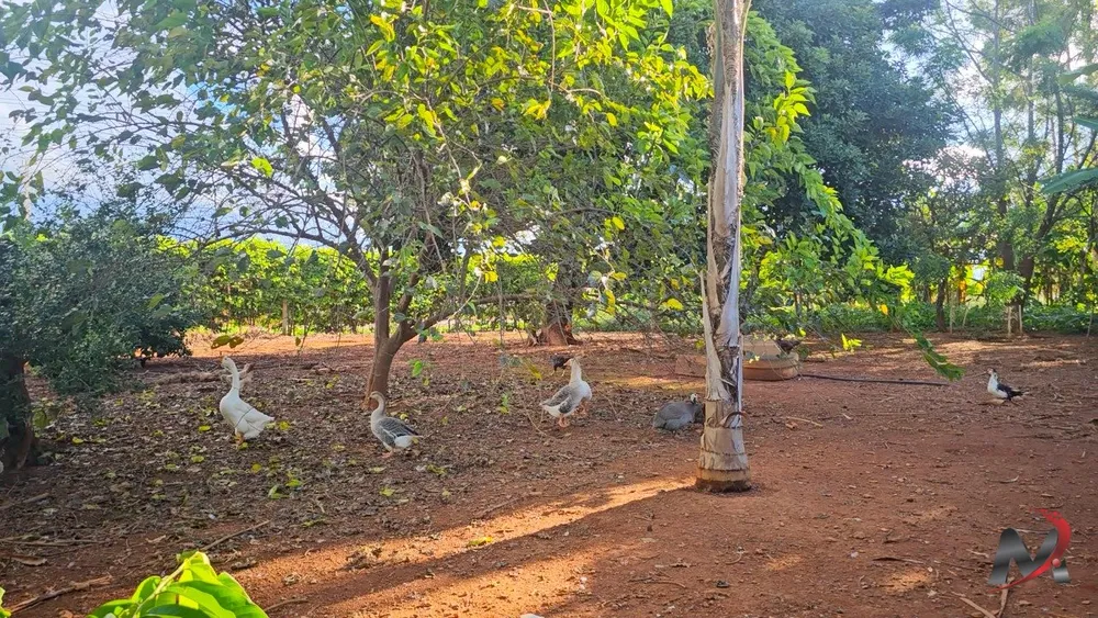 Chácara, 2 quartos, 14 hectares - Foto 11