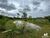 Fazenda-Sítio-Chácara, 51 hectares - Foto 2