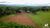 Fazenda-Sítio-Chácara, 51 hectares - Foto 3
