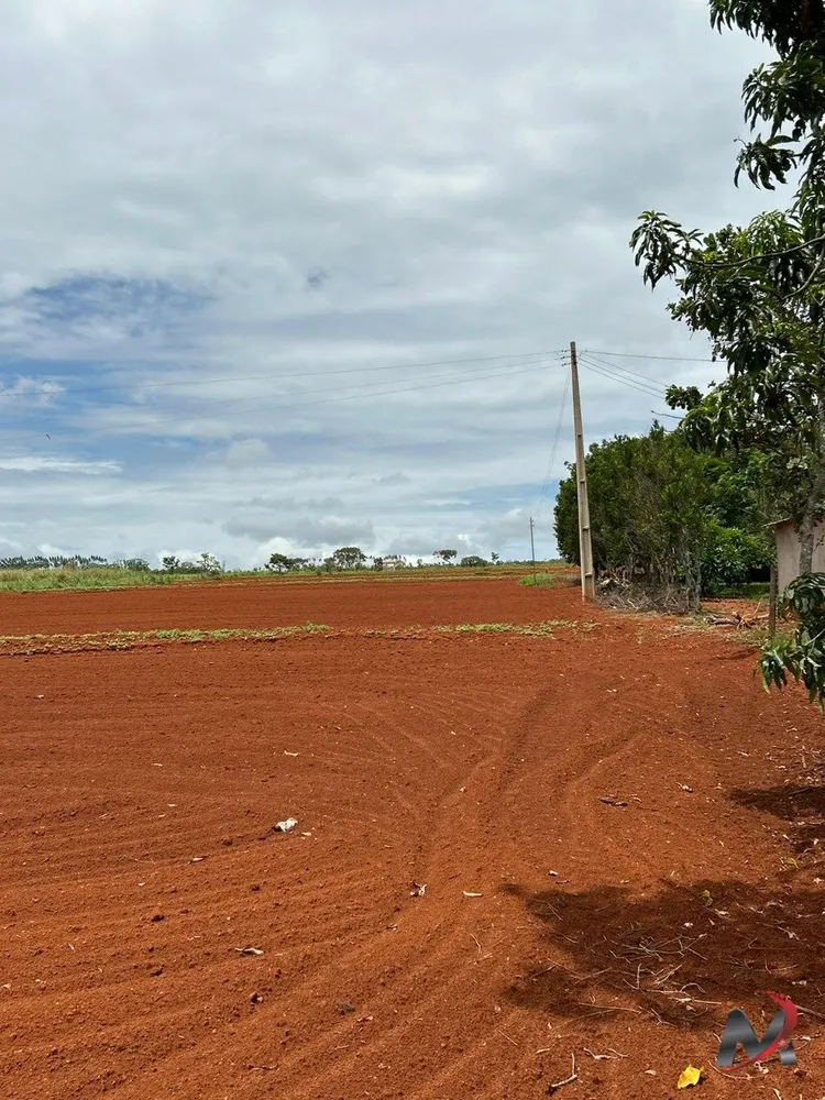 Chácara, 3 quartos, 4560 m² - Foto 13