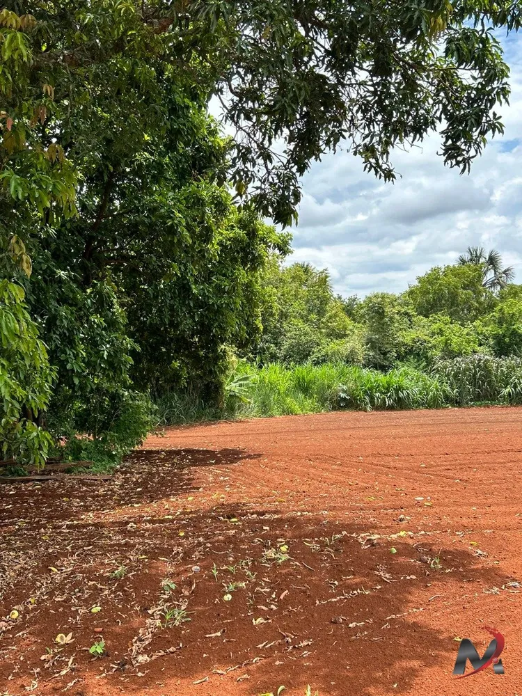 Chácara, 3 quartos, 4560 m² - Foto 14