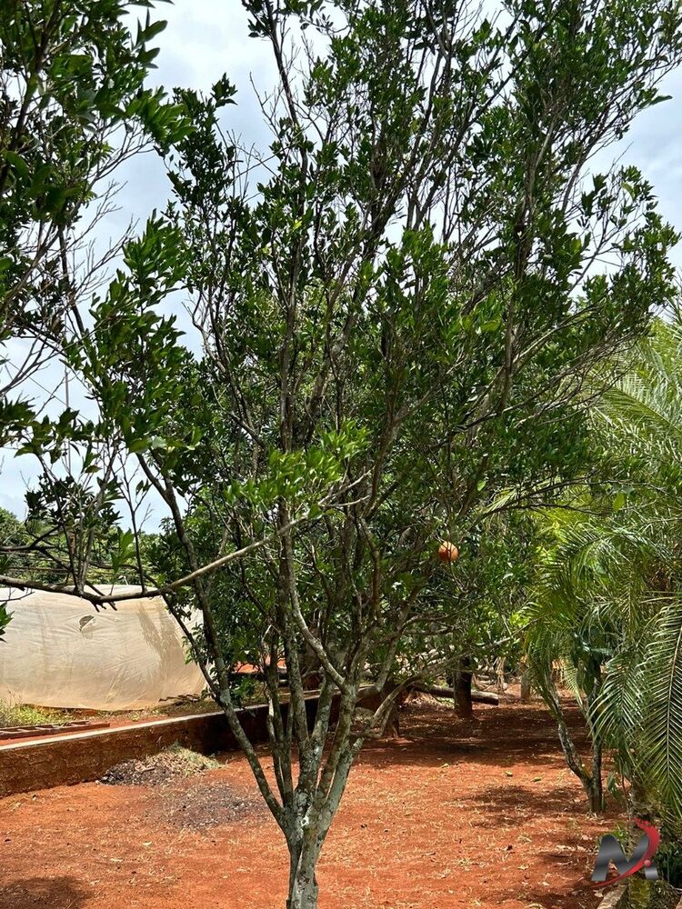 Chácara à venda com 3 quartos, 4560m² - Foto 3