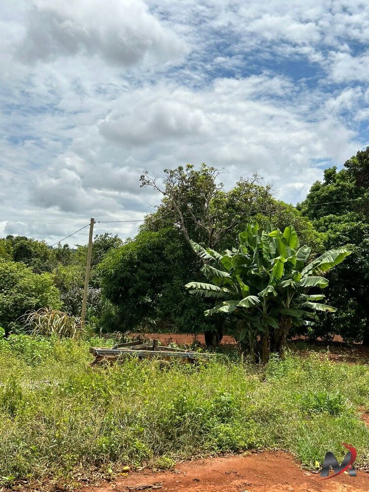 Chácara à venda com 3 quartos, 4560m² - Foto 2
