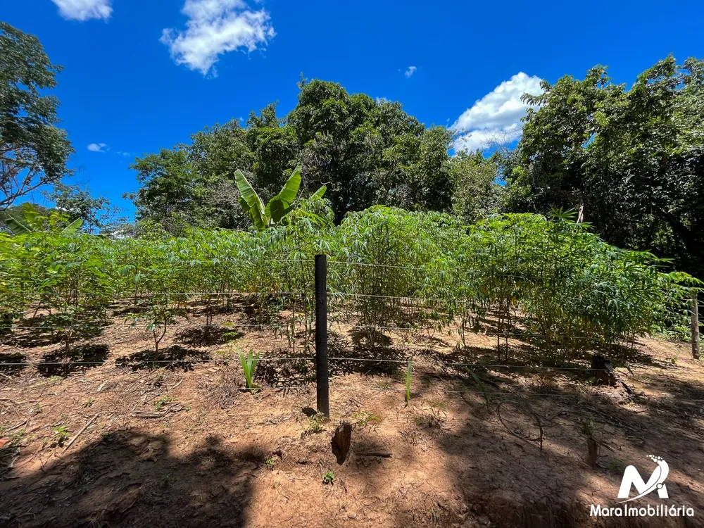 Fazenda, 3 quartos - Foto 12