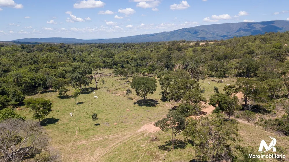 Fazenda, 3 quartos - Foto 5