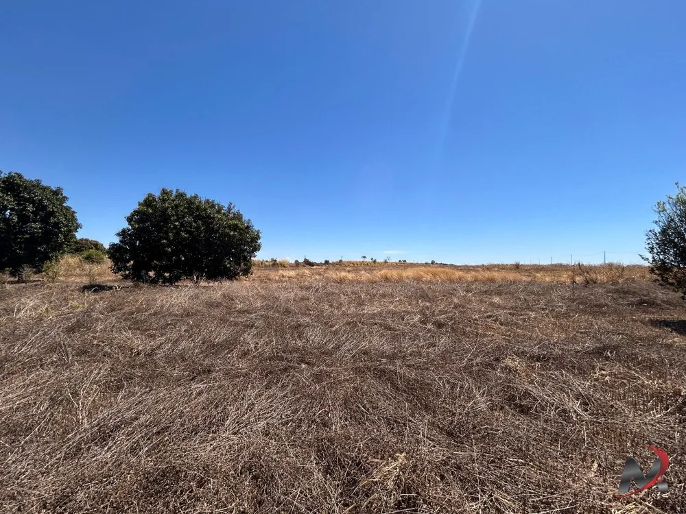 Sítio, 1 hectares - Foto 8