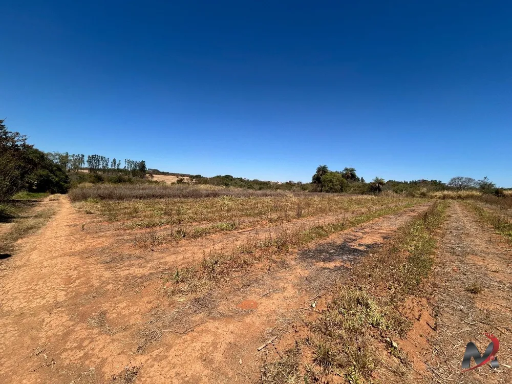 Sítio, 1 hectares - Foto 13