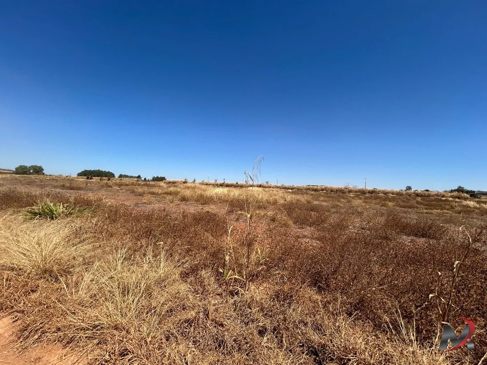 Sítio, 1 hectares - Foto 11