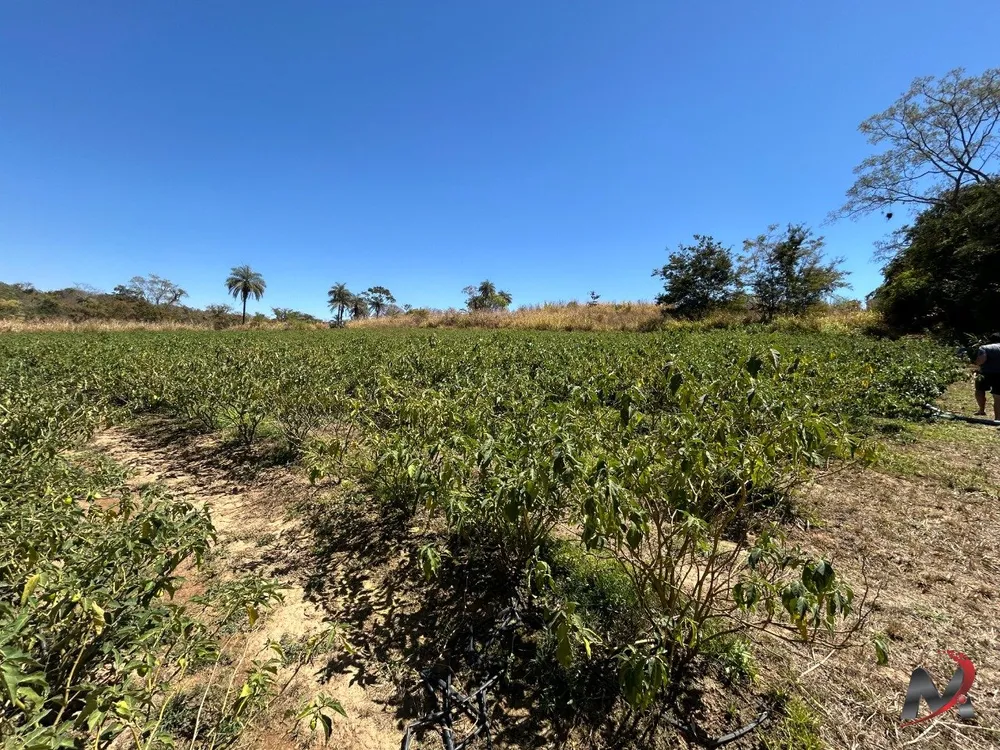 Sítio, 1 hectares - Foto 12