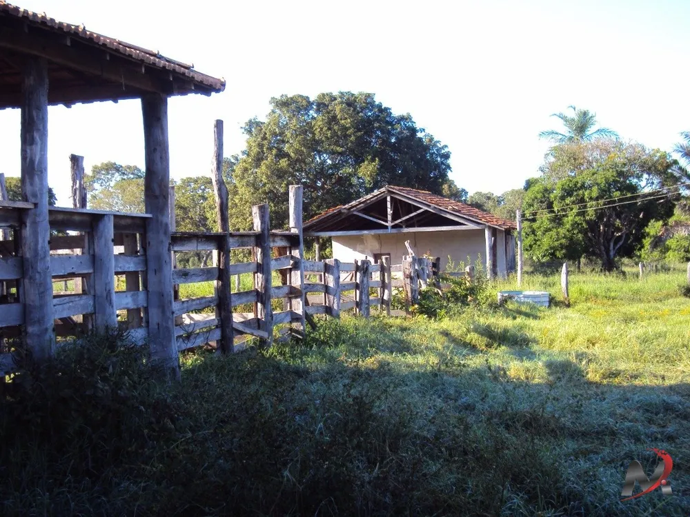 Fazenda, 4 hectares - Foto 5