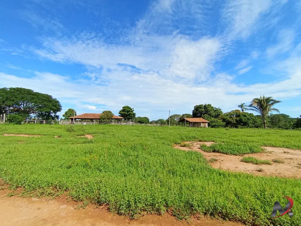 Fazenda, 4 hectares - Foto 8