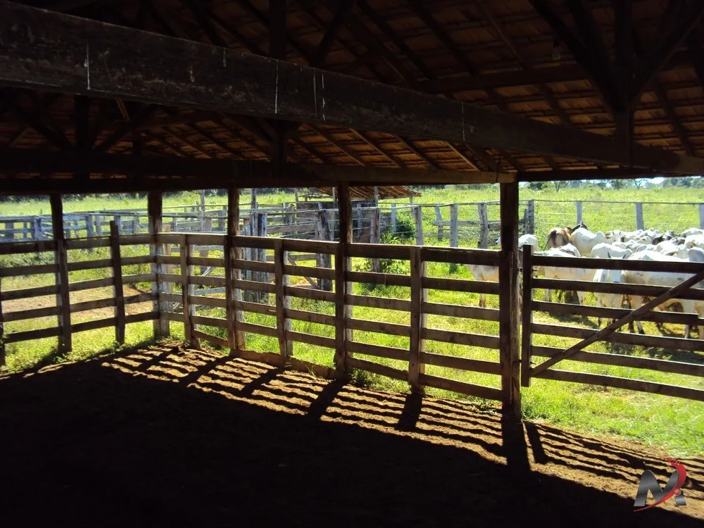 Fazenda, 4 hectares - Foto 10