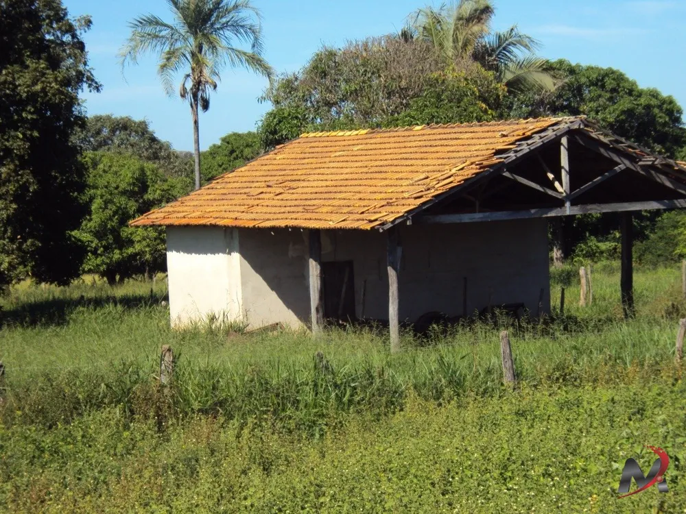 Fazenda, 4 hectares - Foto 9