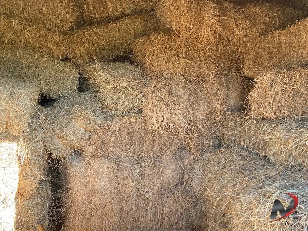 Fazenda, 4 hectares - Foto 1