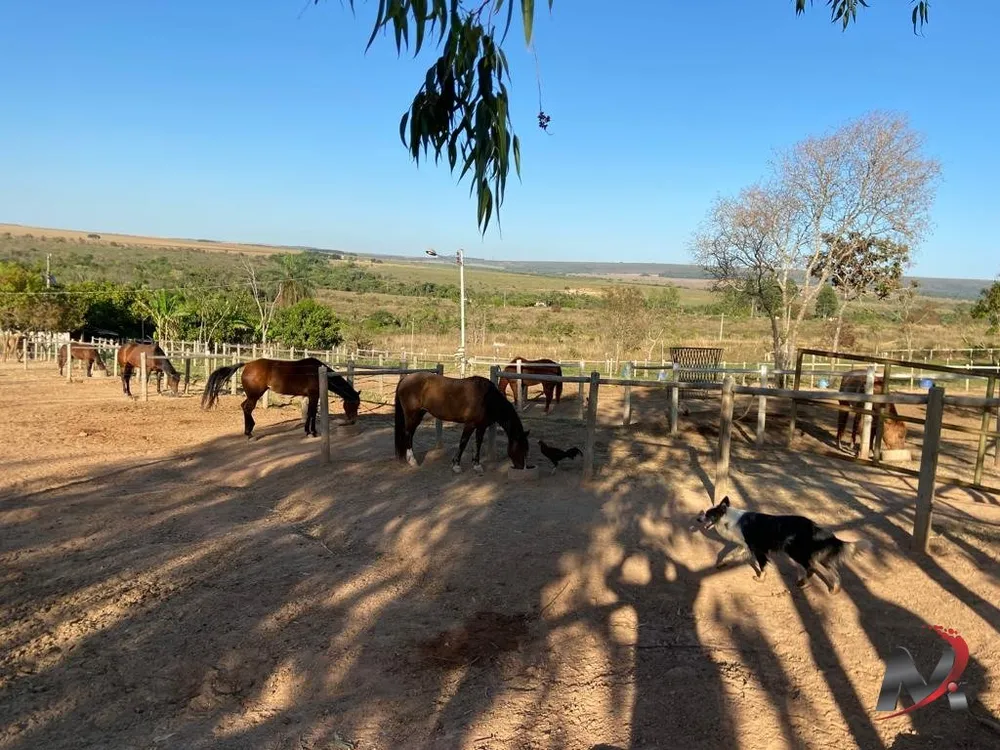 Fazenda, 4 hectares - Foto 9