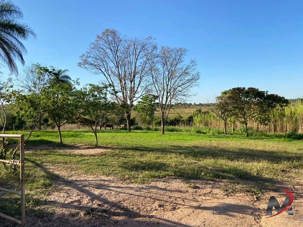 Fazenda, 4 hectares - Foto 10