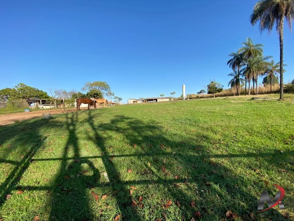 Fazenda, 4 hectares - Foto 7