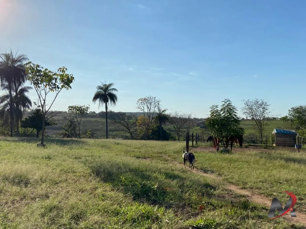 Fazenda, 4 hectares - Foto 11
