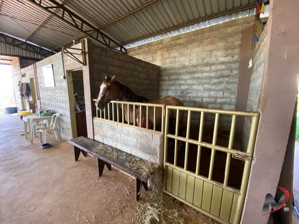 Fazenda, 4 hectares - Foto 14