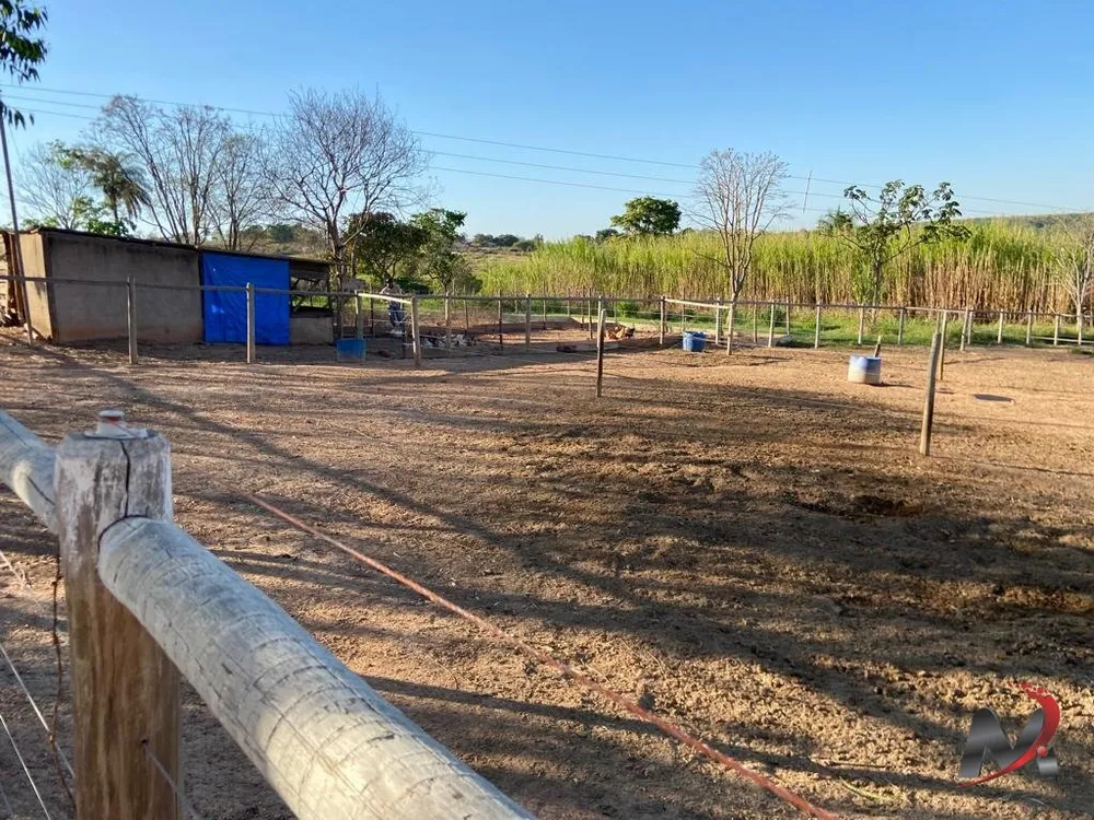 Fazenda, 4 hectares - Foto 6