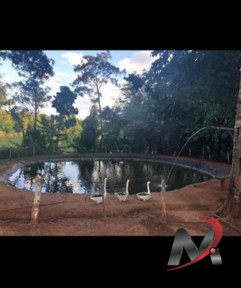 Chácara, 2 quartos, 5000 m² - Foto 5