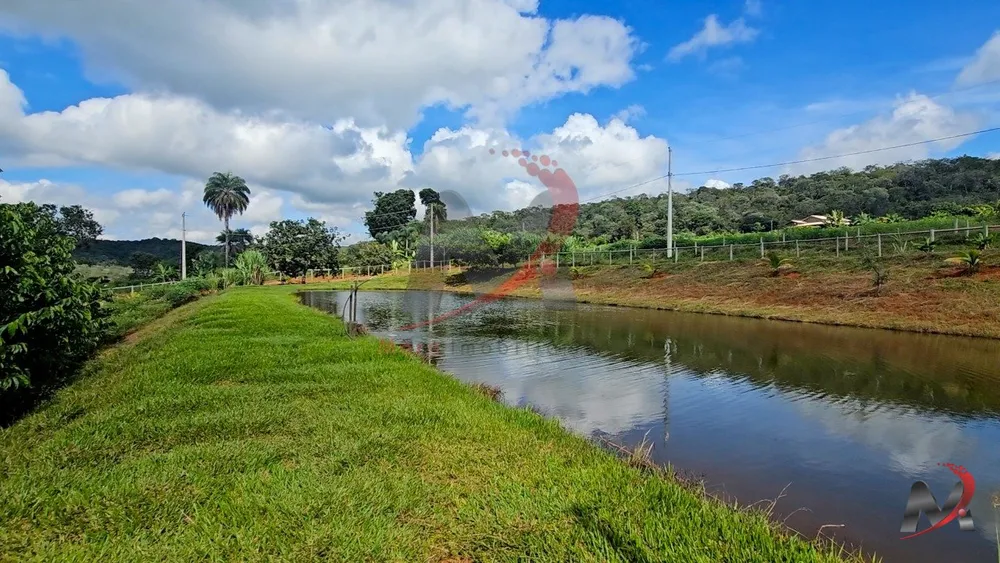 Chácara, 4 quartos, 3 hectares - Foto 4