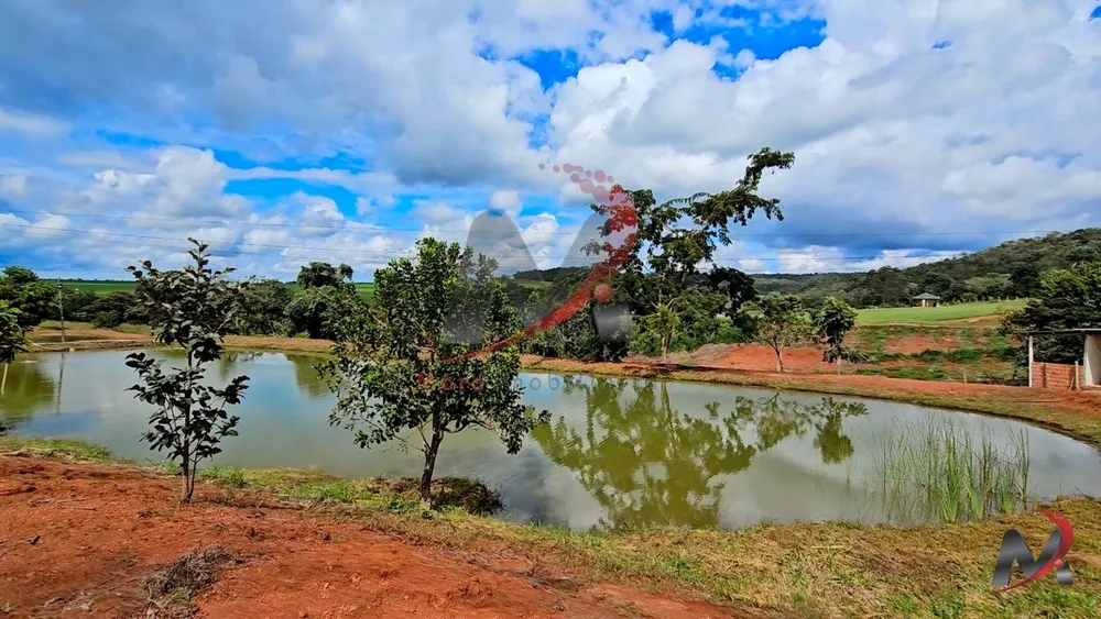 Chácara, 4 quartos, 3 hectares - Foto 16