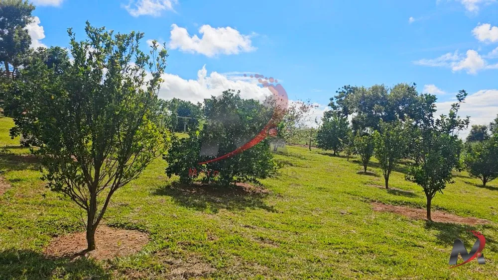 Chácara, 4 quartos, 3 hectares - Foto 10