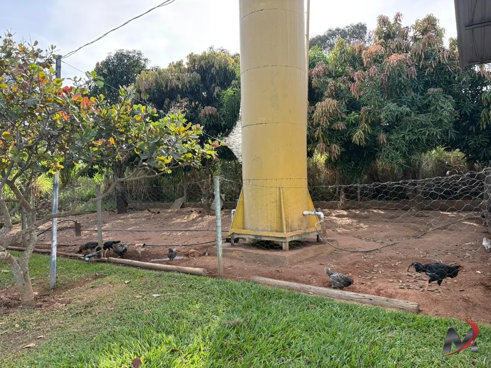 Chácara, 4 quartos, 2 m² - Foto 10