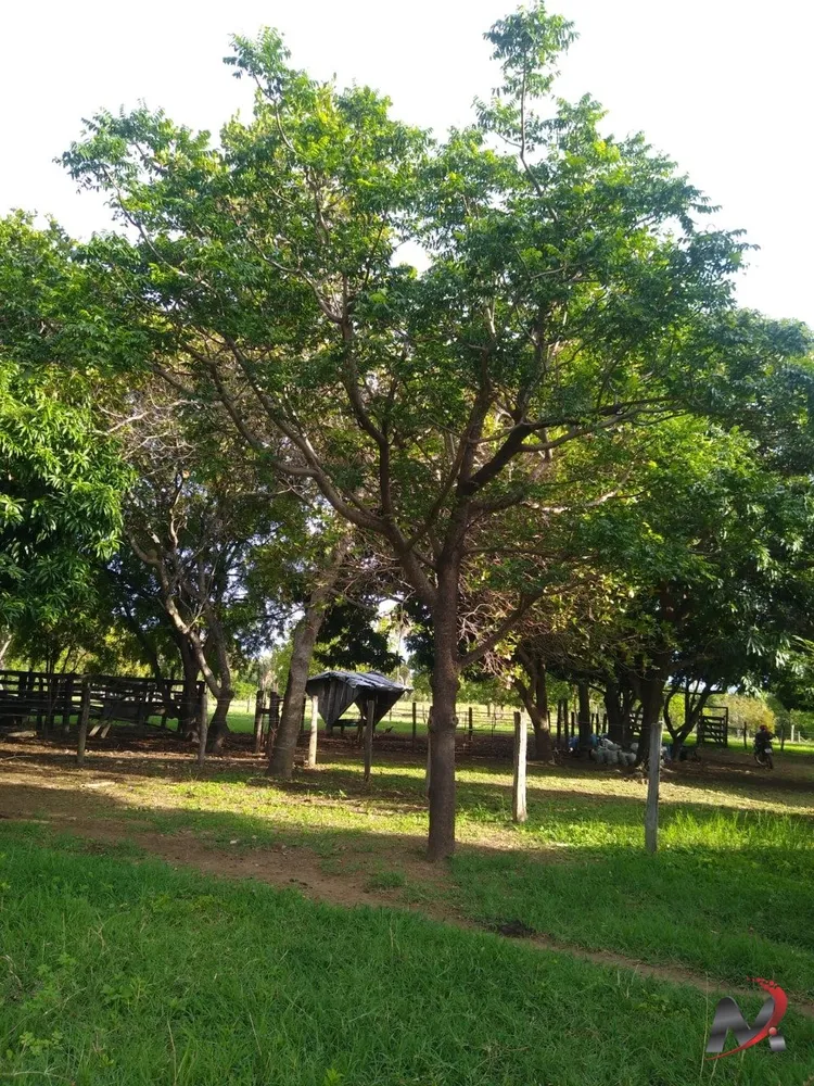 Chácara, 3 quartos, 15 hectares - Foto 2