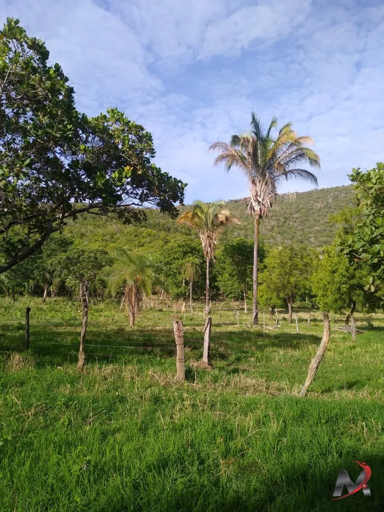 Chácara, 3 quartos, 15 hectares - Foto 5