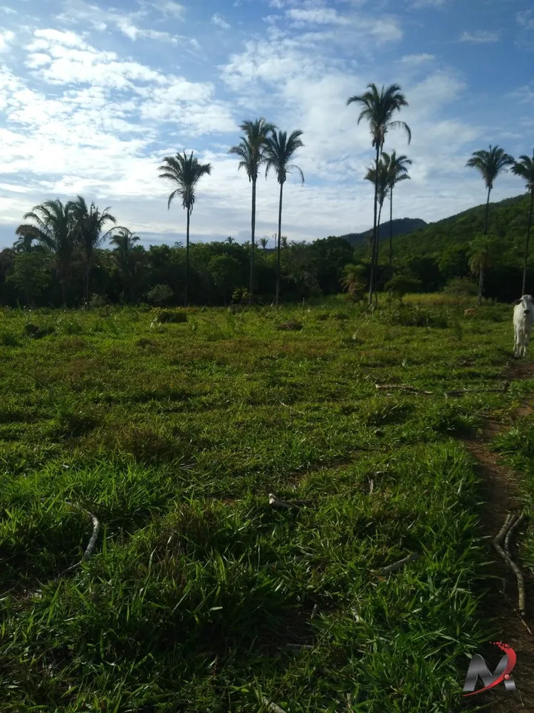 Chácara, 3 quartos, 15 hectares - Foto 1