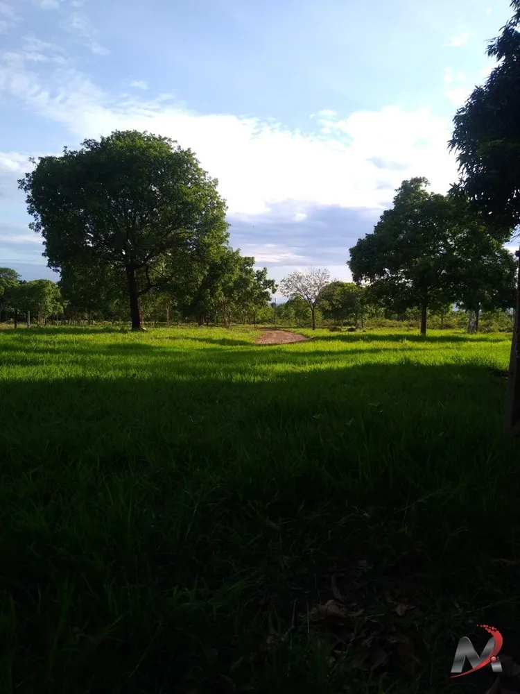 Chácara, 3 quartos, 15 hectares - Foto 8
